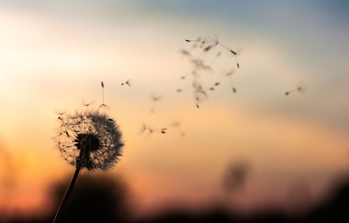 Digital Funding Opportunities 2025: Support and Grants for Charities and Nonprofits